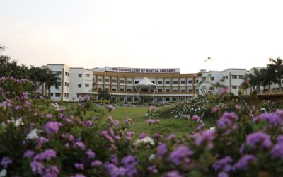 sscds1-2.jpg